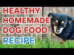 Homemade Dog Food Recipe 🐾Healthy Step by Step Ingredients - S10.E60