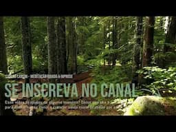Música Relaxante e Sons da Natureza - Acalmar, Relaxar, Dormir