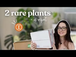 Let's Unbox Some Rare Plant Mail 🌿📦