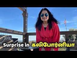 Living Tamil Life in California: Emotional Journey from Costco to Temple!