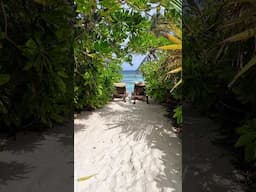 PALAWAN vs BORACAY Which Should You Choose for Your Dream Vacation