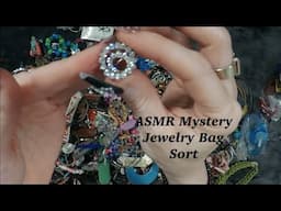 ASMR Gum Chewing MASSIVE Mystery Jewelry Bag Sort | What Surprises Will I Find?