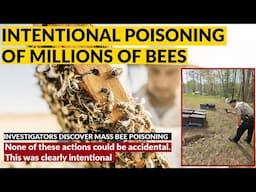 MILLIONS OF BEES POISONED "None of these actions could be accidental. THIS WAS CLEARLY INTENTIONAL"