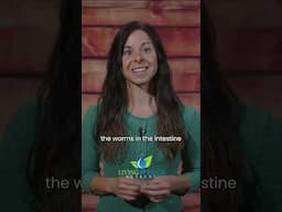 This Natural Remedy for Unwanted Guests | Erin Hullender #Shorts #ErinHullender