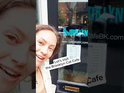 Cat cafe! Let's go inside 😻