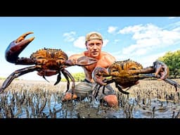 GIANT CRAB HUNT & Spearfishing WRECKS For Food