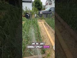 It's all your garden needs! #gardening #gardentips
