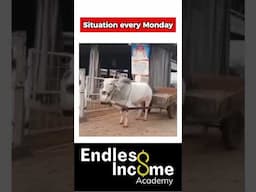 Situation on every Monday! #affiliatemarketing #workfromanywhere #quitmy9to5
