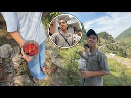Puri Family Pithoragarh aagyi😍||Aaj gaon Mai tode kafal ❤️😃
