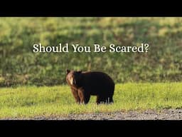 How to Handle Animal Encounters on the Trail