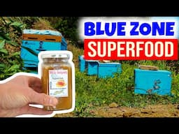 Ikaria's Anama Honey | Blue Zone Longevity Superfood