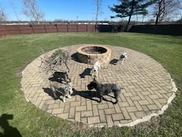 27 Years Together | Life With Schnauzers