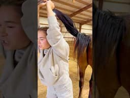 Beginner Vs Experienced Horse Owners! 🐴 #shorts #animals