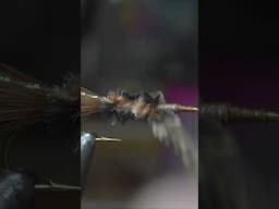 Wooly Bugger - #shorts  #fishing #flytying #flyfishing