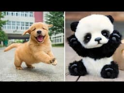 Funniest Animals 2025 😂 Best Funny Cats and Dogs 😻🐶 Part  15 | Cute Baby Dogs