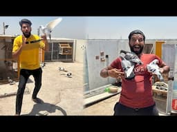 1 lakh wala racer kabutar khareed kar lay aye or Saray bacho ko Bahir nikal diya😳😳