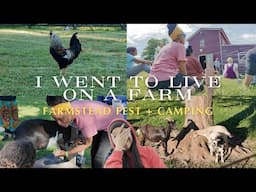 VLOG | Camping on a FARM in VA | First Farmstead Festival | It was COLD (Leaving My Comfort Zone)