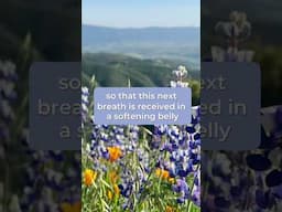 Guided Meditation Relaxing Into The Flow, with Tara Brach
