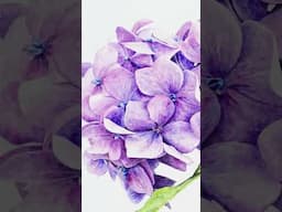Hydrangea painting tutorial tour
