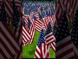 Thank You🇺🇸♥️🙏🏻 #music #memorialday #davedalanecreates