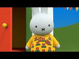 Mud in the shirt! | Miffy | Cartoons for kids