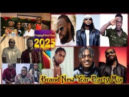 A Brand New Year 2025 Soundlabusa Party Mix