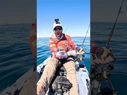 3rd time’s a charm! INSANE fish strike! #shorts #fishing