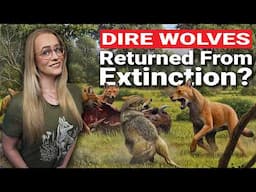 Dire Wolf Back From Extinction! Or Not?