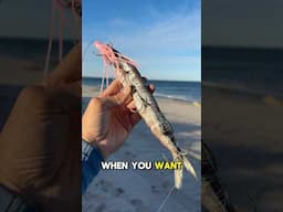 No Fish gets away with this rig! #fishing #fishingequipment #fish