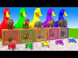 Long Slide Game With Elephant Gorilla Buffalo Hippopotamus Tiger - 3d Animal Game - Funny 3d Animals