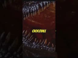 Mini 'Killer Crocodile' Review #horrormovie #crocodile #cultclassic
