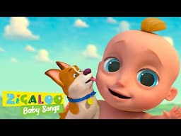 Sing Along to Bingo! + Fun Kids Videos with Johnny & Friends🎶 Zigaloo Baby Songs