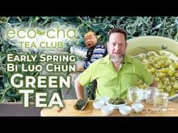 Eco-Cha Tea Club: 113 - Early Spring Bi Luo Chun Green Tea | Eco-Cha Teas