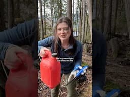 Cabin in the woods part 3. Forest fire prevention season