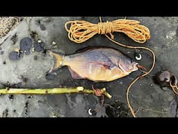 Catching Fish with Stone Tools: Catch & Cook!