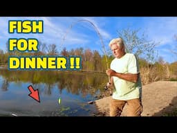 CATCHING FISH to EAT for DINNER !! (BOBBER and MINNOWS)