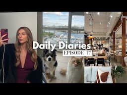 furniture shopping and relationship chats | daily diaries ep.17