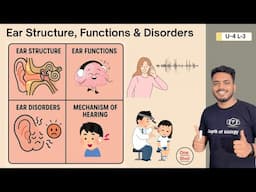 Ear Structure | Ear functions | Ear Disorders | Ear Anatomy | Ear physiology | Human Ear #humanear