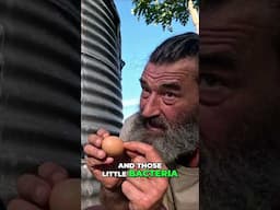 Don't wash your eggs until you watch THIS! 🥚 #shorts
