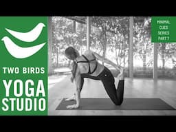 30 Minute Yoga Flow - Minimal Cues Series Part 7