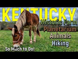 Land Between The Lakes [4K UHD] | Things to do | Elk & Bison Prairie | Homeplace 1850s Farm | Nature