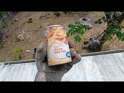 Using A Tin Can To Fix The Roof Vent