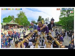 令和７年　立川諏訪神社  伝統祭──男神輿、立川を揺らす (御神輿おもてなし渡御)これが、男たちの誇りだ　 #伝統を守る。