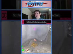 Tutorial skip in Pikmin 2
