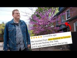 Why Rodney The Tree Went Viral