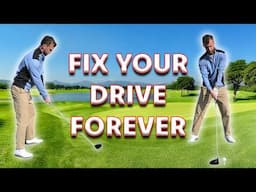 The NCG Ultimate Guide to Driving