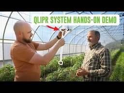 Why This Trellising System Beats ALL Others at Bountiful Blessings Farm!