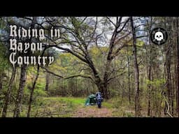 Riding Across the Bayou - Visit With SaddleTramp - Cajun Cuisine