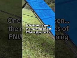 One winter season agility mess