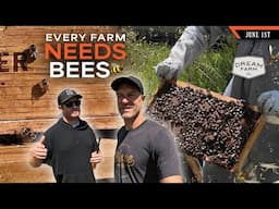 Every Farm Needs Honey Bees - To Improve Pollination and Production | Dream Farm w/ Bill Winke